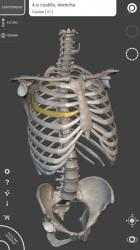 Screenshot 2 Esqueleto | Anatomía 3D android
