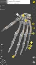 Captura de Pantalla 3 Esqueleto | Anatomía 3D android