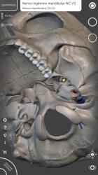 Screenshot 9 Esqueleto | Anatomía 3D android