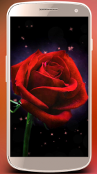 Captura de Pantalla 6 Rosas de pantalla en vivo. Rosas para niñas android