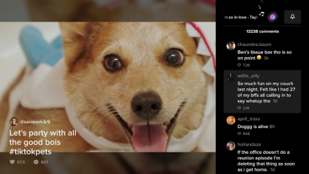 Screenshot 4 TikTok for Android TV android