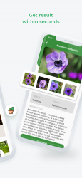 Screenshot 4 LeafSnap-Plant Identification iphone