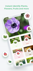 Captura de Pantalla 3 LeafSnap-Plant Identification iphone