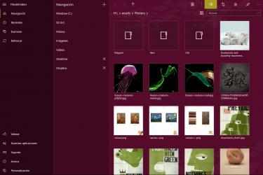 Captura de Pantalla 11 Files&Folders Pro windows
