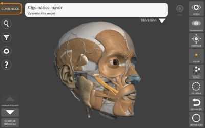 Screenshot 4 Anatomía 3D para el Artista windows