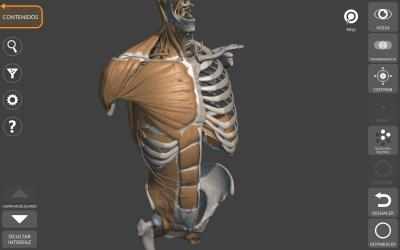 Screenshot 1 Anatomía 3D para el Artista windows