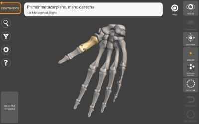 Screenshot 6 Anatomía 3D para el Artista windows