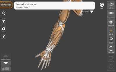 Captura de Pantalla 5 Anatomía 3D para el Artista windows