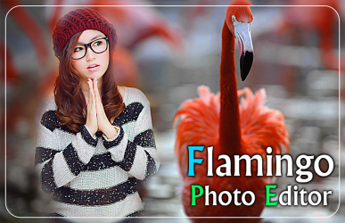 Captura de Pantalla 2 Flamingo Photo Editor - flamingo photo frames android