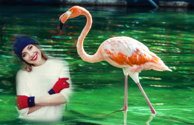 Screenshot 4 Flamingo Photo Editor - flamingo photo frames android