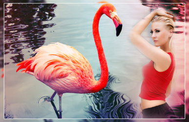Screenshot 3 Flamingo Photo Editor - flamingo photo frames android