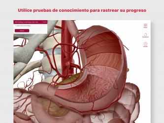 Captura de Pantalla 5 Anatomía & Fisiología: Intr. a los sist. corporales windows