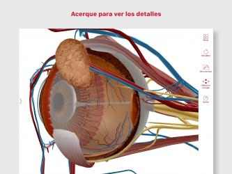 Captura de Pantalla 3 Anatomía & Fisiología: Intr. a los sist. corporales windows