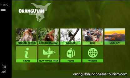 Captura de Pantalla 10 Orangutan - Indonesia windows