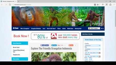 Captura 4 Orangutan - Indonesia windows