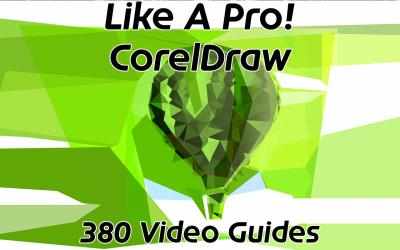 Capture 1 Like A Pro! CorelDraw Guides windows