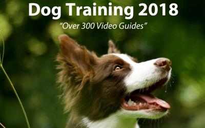 Captura de Pantalla 3 Dog Training 2018 windows