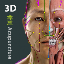 Imágen 1 Visual Acupuncture 3D android