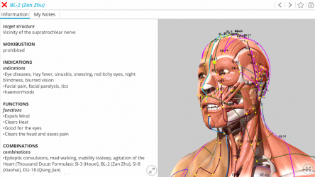 Captura de Pantalla 2 Visual Acupuncture 3D android