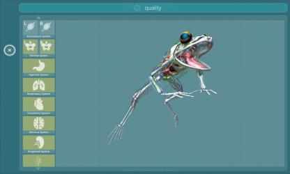 Screenshot 13 Visual Anatomy - Frog windows