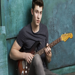 Captura 1 SHAWN MENDES-Songs Offline (40 Songs) android