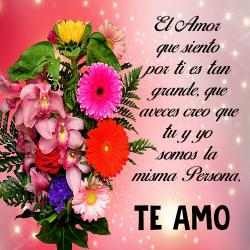 Image 7 Flores y Rosas de Amor -Frases android