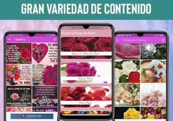 Screenshot 2 Flores y Rosas de Amor -Frases android