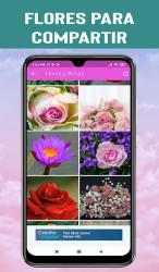 Captura de Pantalla 6 Flores y Rosas de Amor -Frases android