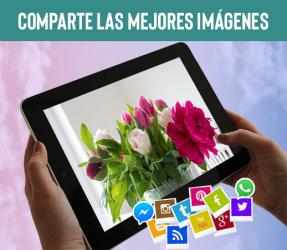 Screenshot 14 Flores y Rosas de Amor -Frases android