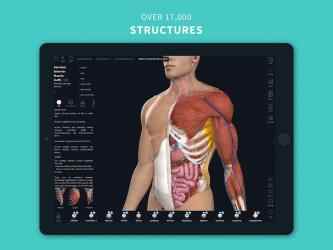 Captura de Pantalla 11 Complete Anatomy ‘21 - 3D Human Body Atlas android
