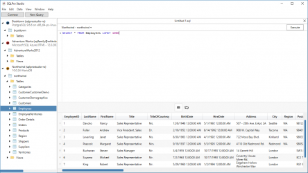 Screenshot 1 SQLPro Studio windows