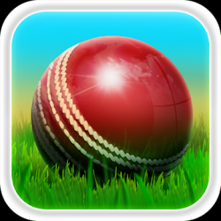 Image 1 Cricket 3D android