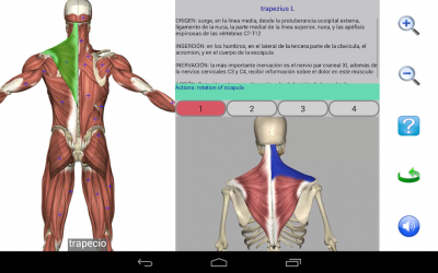 Captura de Pantalla 12 Visual Anatomy Free android
