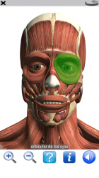 Image 6 Visual Anatomy Free android