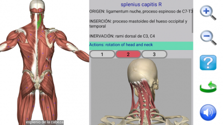 Screenshot 3 Visual Anatomy Free android