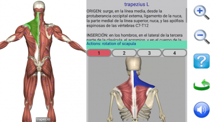 Imágen 4 Visual Anatomy Free android