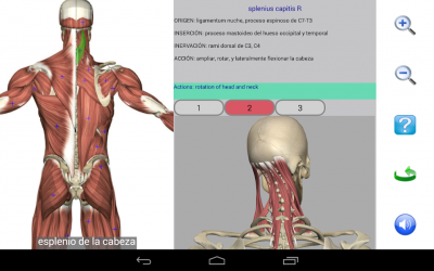 Screenshot 11 Visual Anatomy Free android