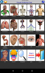 Captura de Pantalla 13 Visual Anatomy Free android