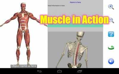 Screenshot 10 Visual Anatomy Free android