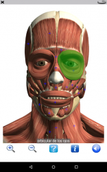 Captura 14 Visual Anatomy Free android