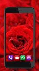 Imágen 4 Rosas flores Rojas android