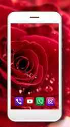 Captura 5 Rosas flores Rojas android