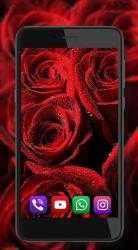 Imágen 7 Rosas flores Rojas android