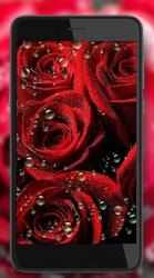 Imágen 9 Rosas flores Rojas android