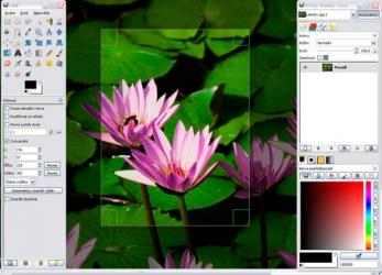 Captura de Pantalla 3 GIMP windows