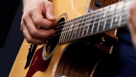 Imágen 4 Guitar Lessons Beginners Level windows