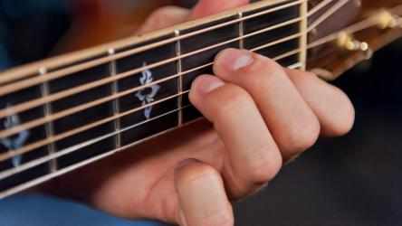 Captura 5 Guitar Lessons Beginners Level windows