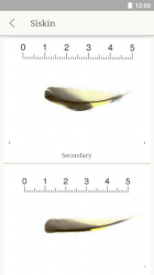 Screenshot 6 Feather Gallery android