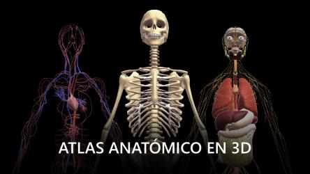 Captura 1 Anatomia RA: Cuerpo Humano windows