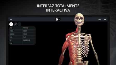 Capture 4 Anatomia RA: Cuerpo Humano windows